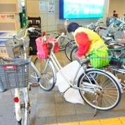 ハマロードサポーター活動の報告