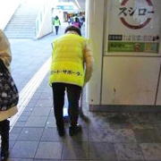 ハマロードサポーター活動の報告